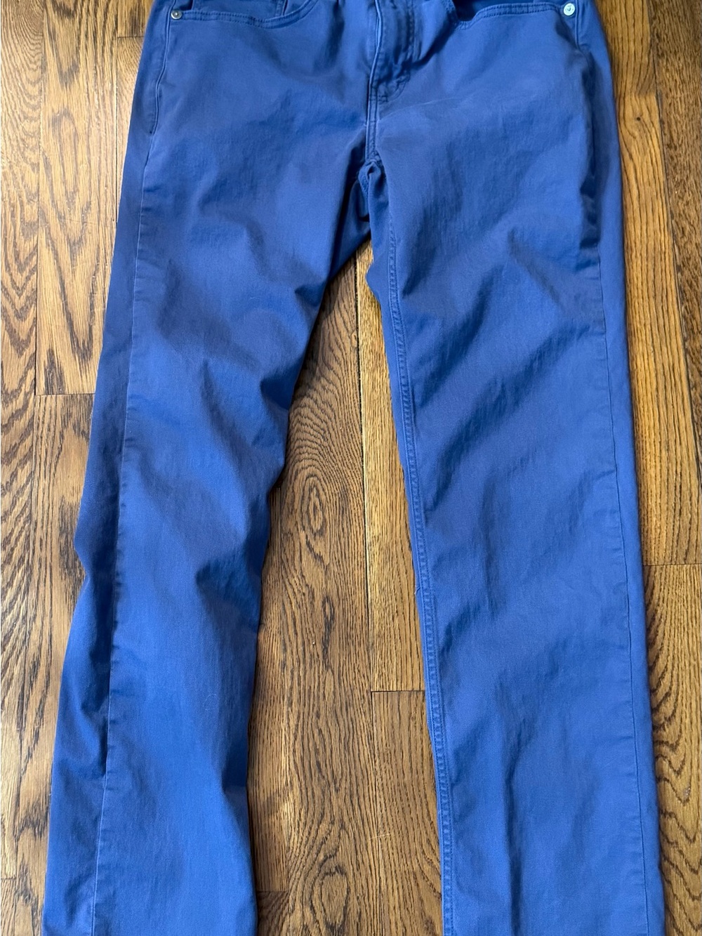 GAP Men's Royal Blue Chino Pants